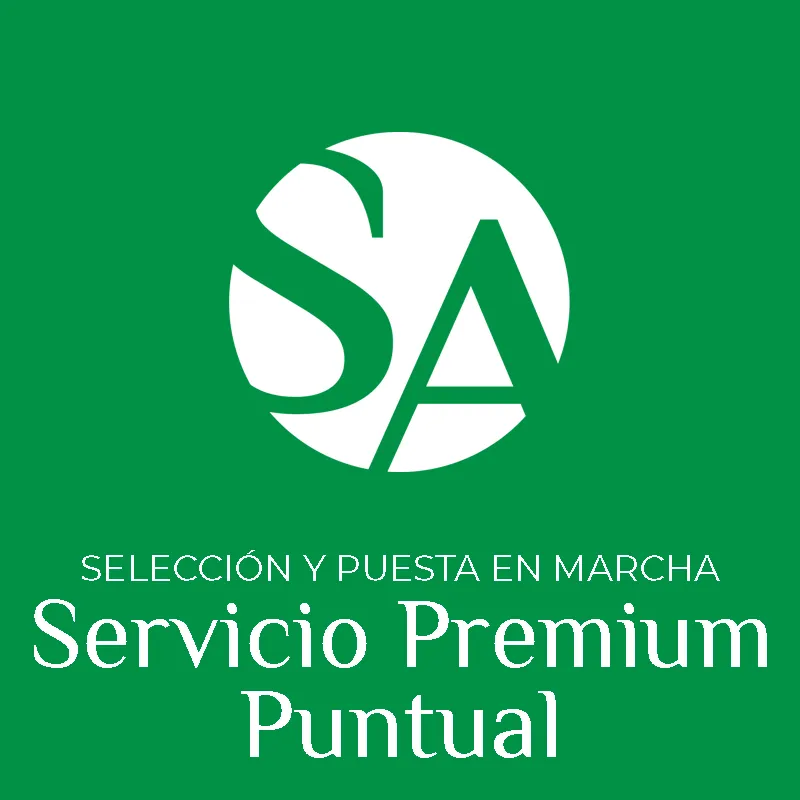 Selección y puesta en marcha del Servicio Premium Puntual