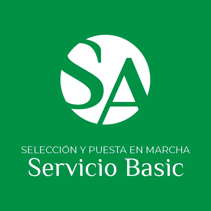 Selección y puesta en marcha del servicio Basic